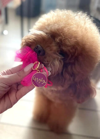 Medaglietta linea "elegant" tondo piccolo