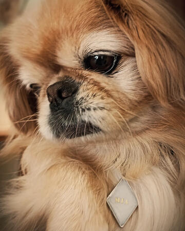 Medaglietta linea "elegant" rombo piccolo White