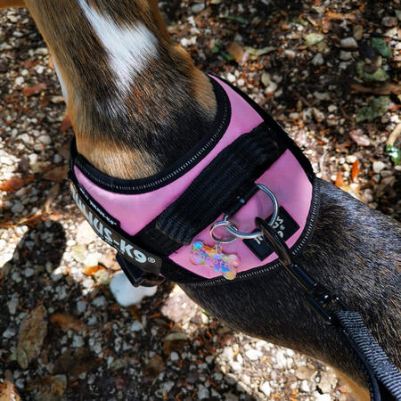 Medaglietta "bone" taglia piccola cuori