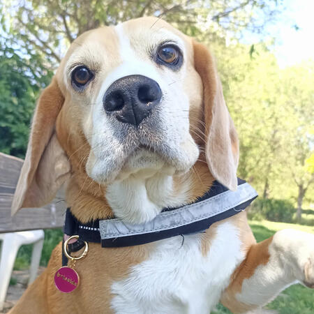 Medaglietta linea "elegant" tondo piccolo