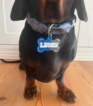 Medaglietta "bone" taglia media